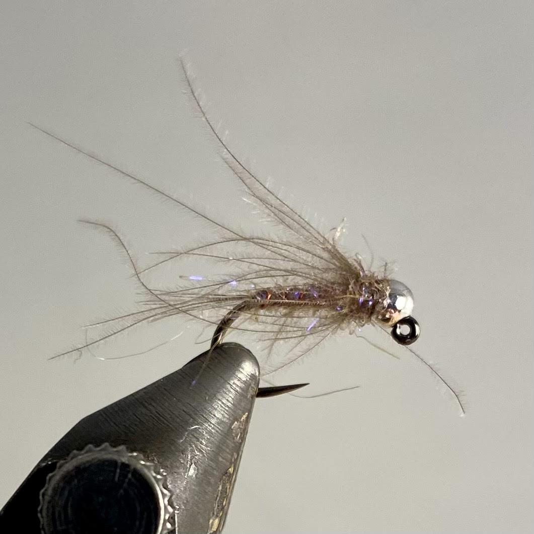 Planet Fly Fishing – 6 Mosche Duracell Euro Nymph (Tungsten) Taglia #16 Per Trota E Pesca A Mosca