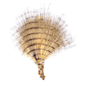 MFC Fine Barred Marabou