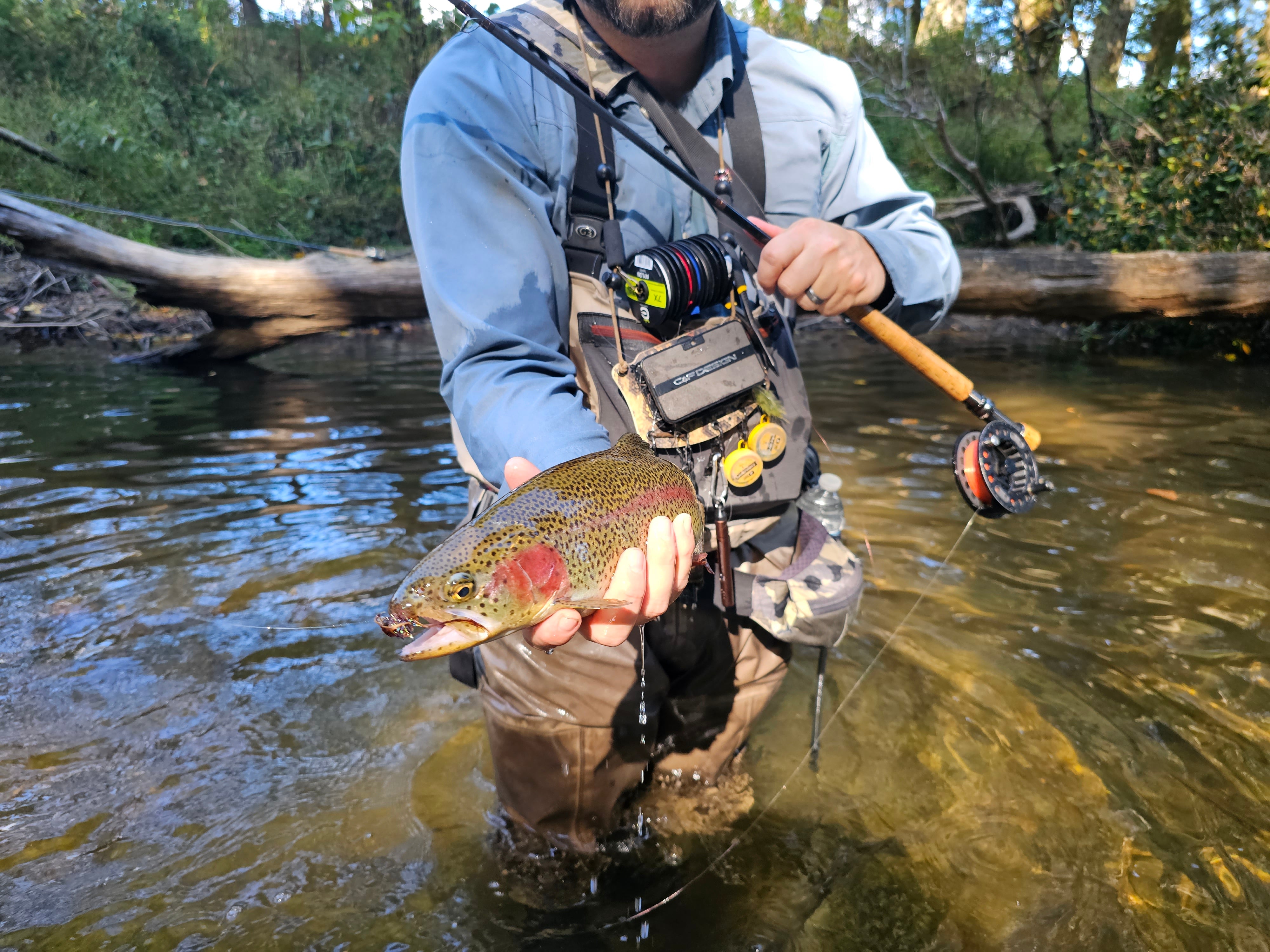 Fishing Lessons Tactical Fly Fisherman Euro Nymphing Virtual Class