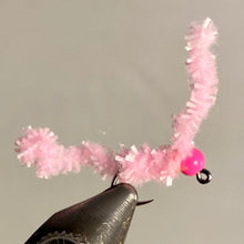 Chewing Gum Worm Fly