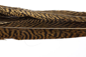 Trout Line Golden Pheasant Tails 14-16'' inches