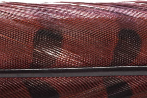 Trout Line Ringneck Pheasant Tail (2 pack) 14-16"