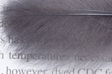 Trout Line CDC Feathers Tier's Pack -0.5grams