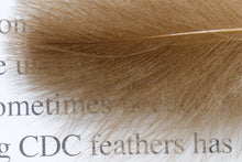 Trout Line CDC Feathers Tier's Pack -0.5grams