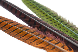 Trout Line Ringneck Pheasant Tail (2 pack) 14-16"
