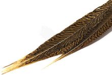 Trout Line Golden Pheasant Tails 14-16'' inches
