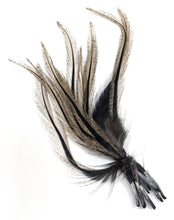 Spirit River UV2 Coq De Leon Peridogn Fire Tail Feathers