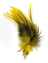 Spirit River UV2 Coq De Leon Peridogn Fire Tail Feathers