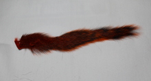 Nature’s Spirit Squirrel Tail